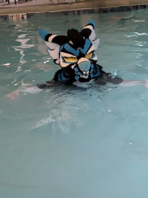 Ah what a nice day to swim I hope there’s not anything dangerous in the water 

The nefarious pool dwelling creature: 

🌌 #furry #fursuit #Fursona 🌌