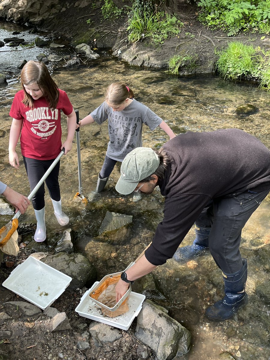 Delia Garratt (@deliagarratt) on Twitter photo Day 2 of the #citynaturechallenge with <a href="/WTBBC/">Birmingham & Black Country Wildlife Trust</a> at Smestow Valley.
Bug hunting and kick sampling the Smestow Brook. Day 2 of the #citynaturechallenge with <a href="/WTBBC/">Birmingham & Black Country Wildlife Trust</a> at Smestow Valley.
Bug hunting and kick sampling the Smestow Brook.