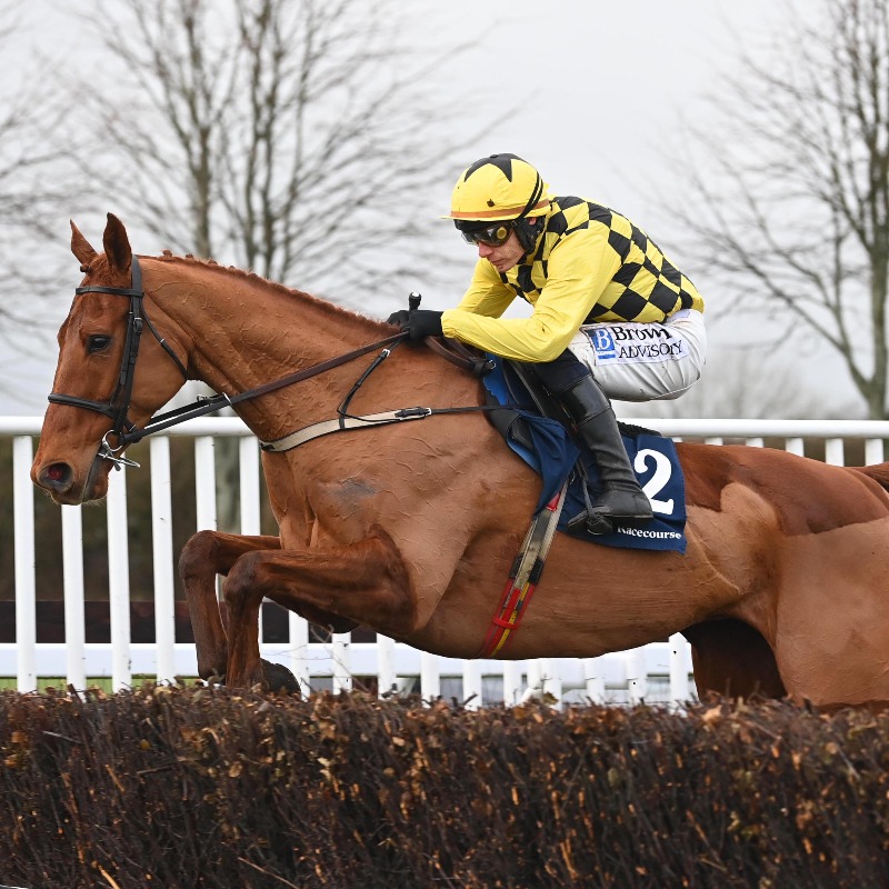 Sad news from Sandown - RIP Dancing City 💛