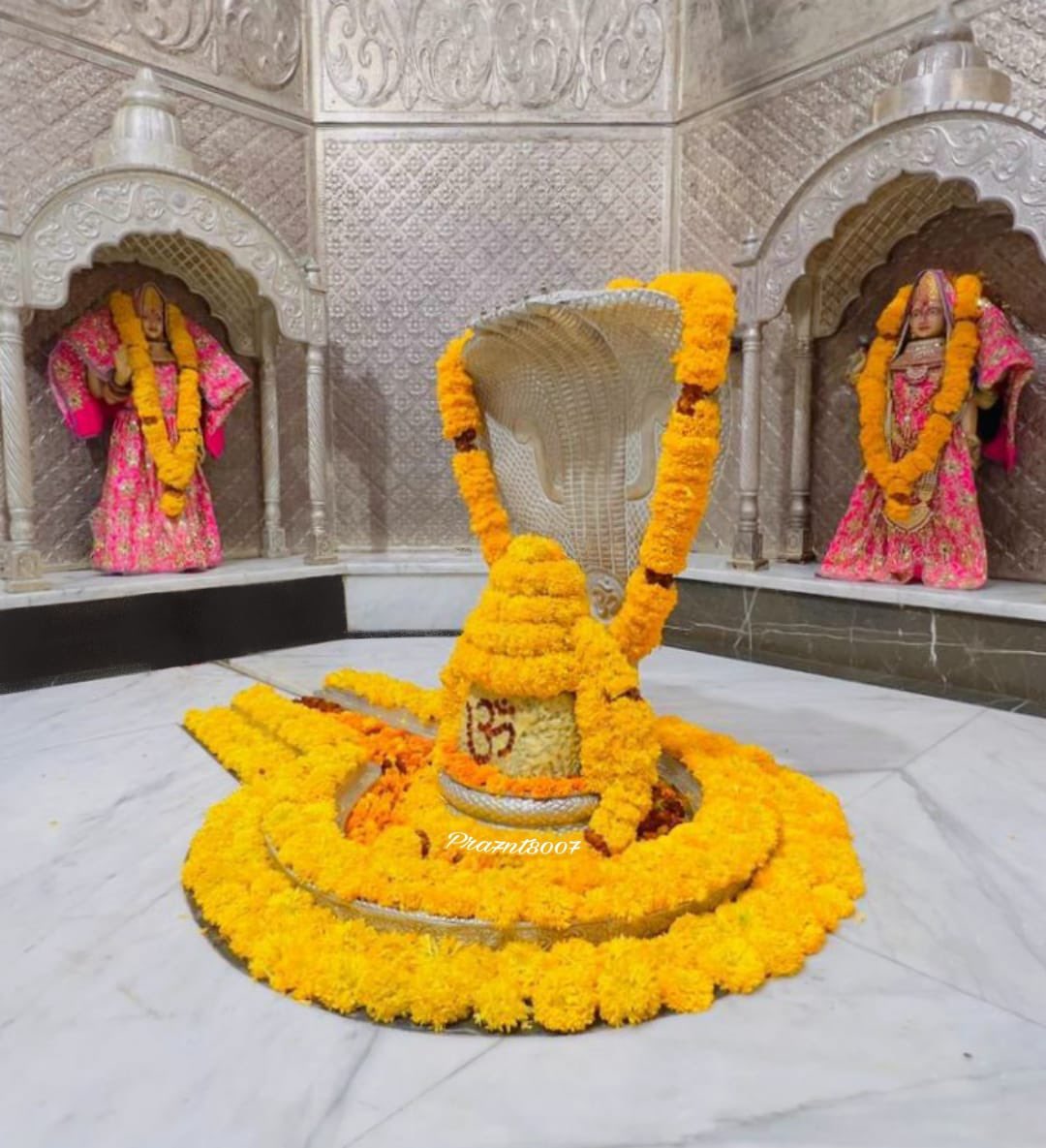 श्री नागेश्वर ज्योतिर्लिंग का आज का संध्या श्रृंगार दर्शन
                    ( द्रारूकावन गुजरात )
26 अप्रैल 2025 ( शनिवार )