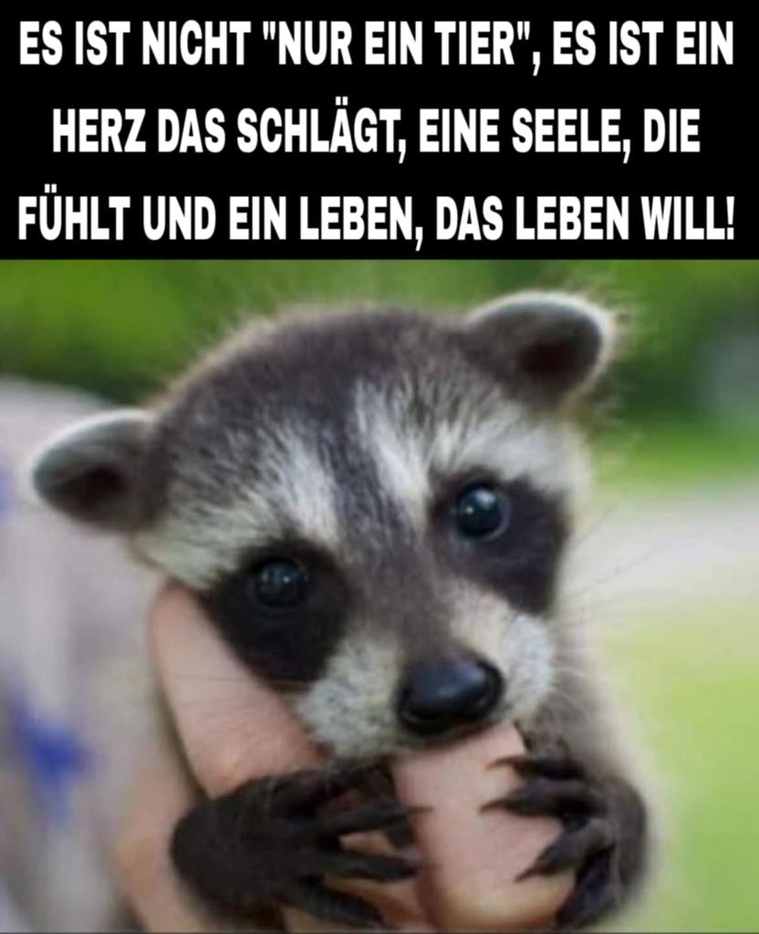 GENAU SO IST ES!!!