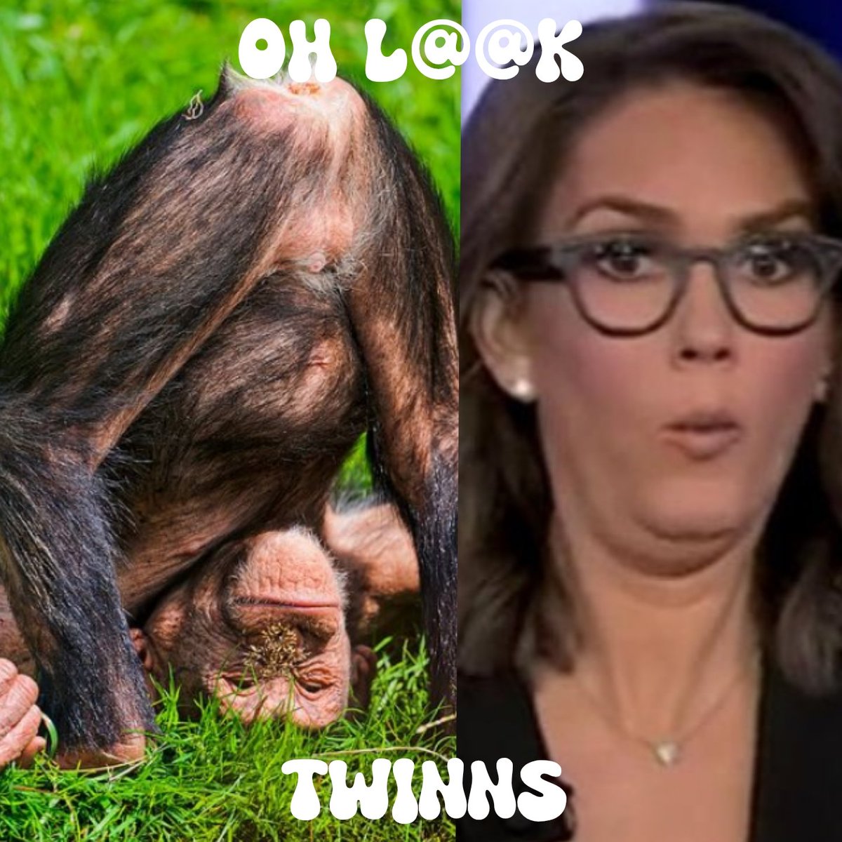 OGFACT65's tweet image. Are you Surprised in the look