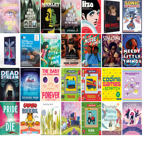 This week the Framingham Public Library has 82 new books and nine new movies.  New items include Indiana Jones and the Great Circle, RollerCoaster Tycoon Classic, Poppy Playtime Triple Pack, The Oregon Trail, Astro Bot, and Dragon Quest III HD-2D Remake. wowbrary.org/nu.aspx?p=901-…