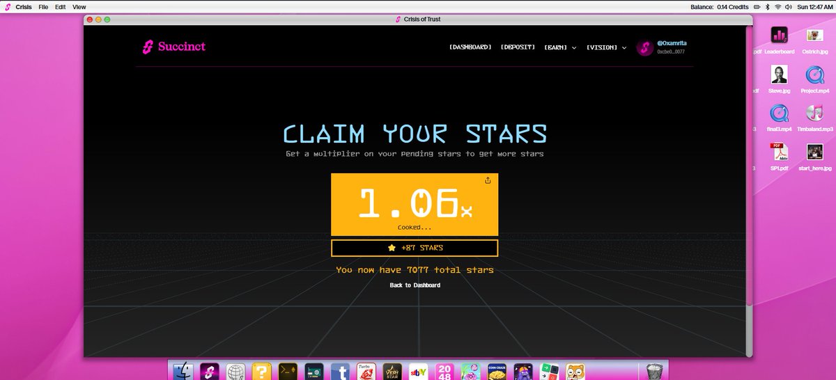 0xamrita's tweet image. thanks for playing @SuccinctLabs