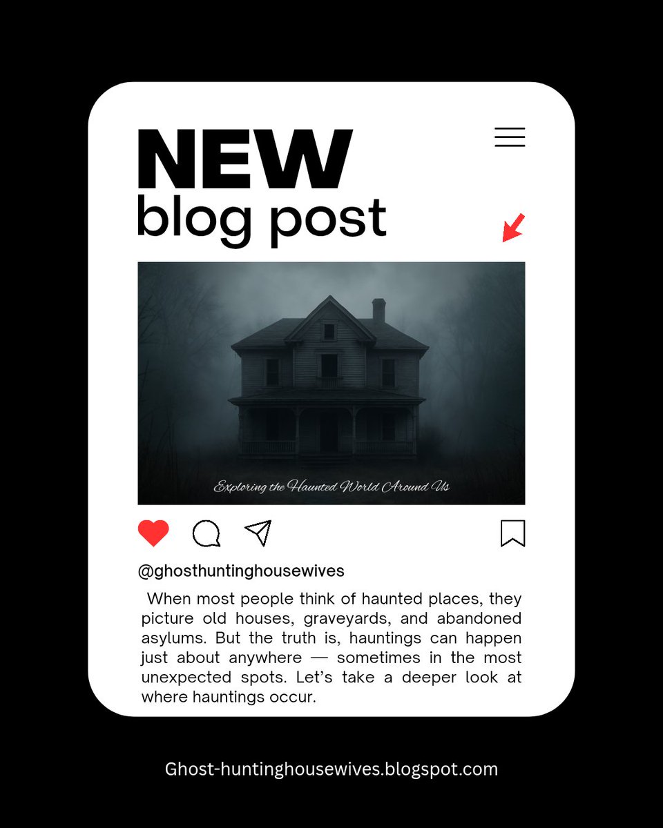 Ghost Hunting Housewives tweet media