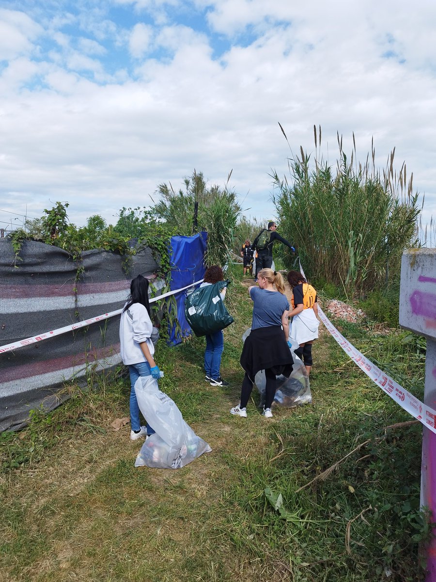 CorreSolidaris tweet media