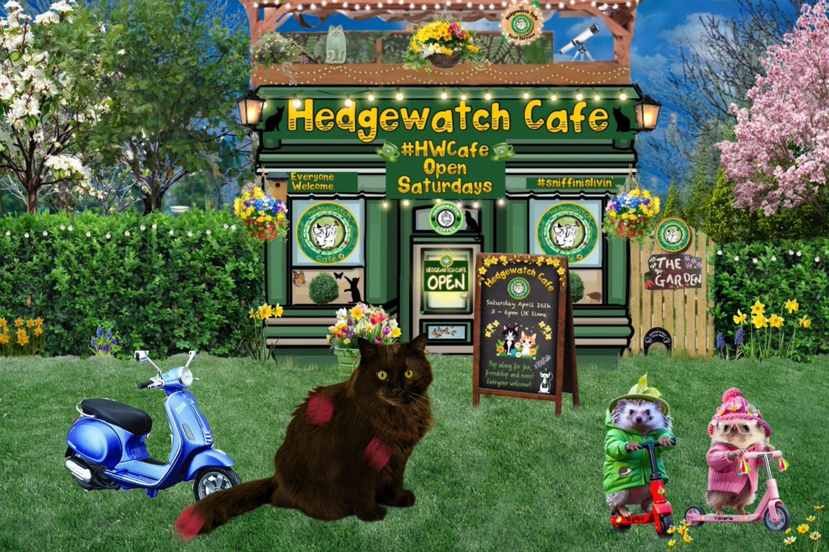 Well Everyone, now that (almost) all the jam is gone😸 time for me to hop on my scooter and head back to #Catnada🇨🇦. Always so nice to see Friends and the toast jump was so fun! Happy #Caturday All ! #HWCafe #saturdayvibes #blackcats