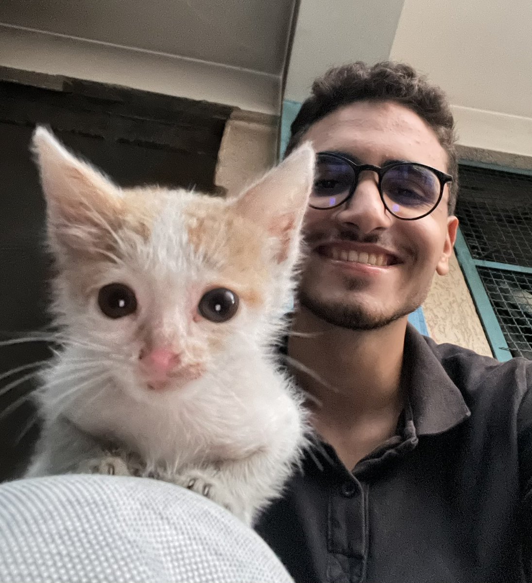 Don't miss this opportunity! 🙏 🇵🇸

Imagine if this tweet reaches 50,000 people, my family and I will receive at least 30 donations. These are the donations we rely on daily for clean food. Share this tweet with your friends and help me achieve my goal with your tremendous power.