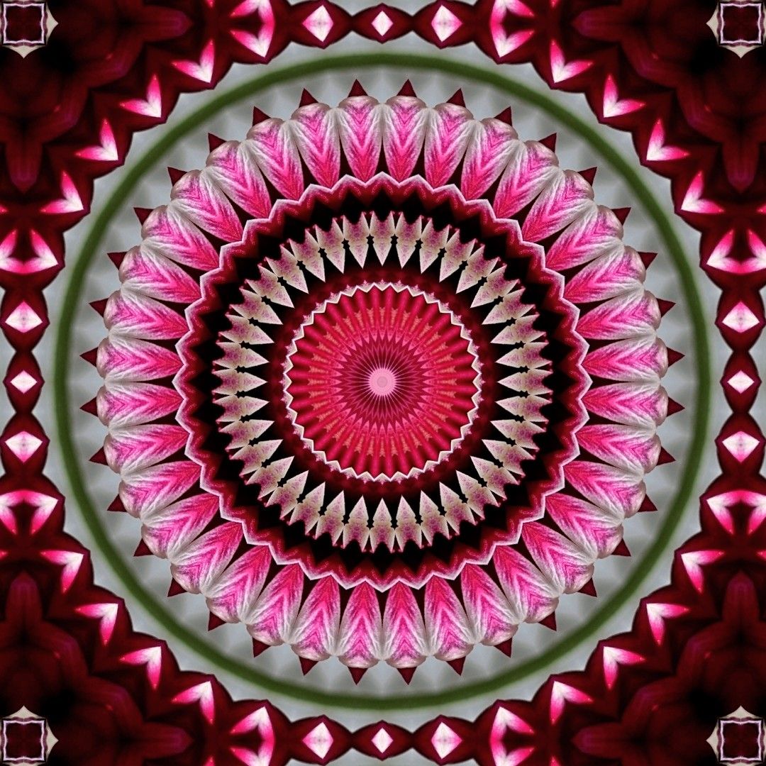 #KaleidoSaturday tweet media