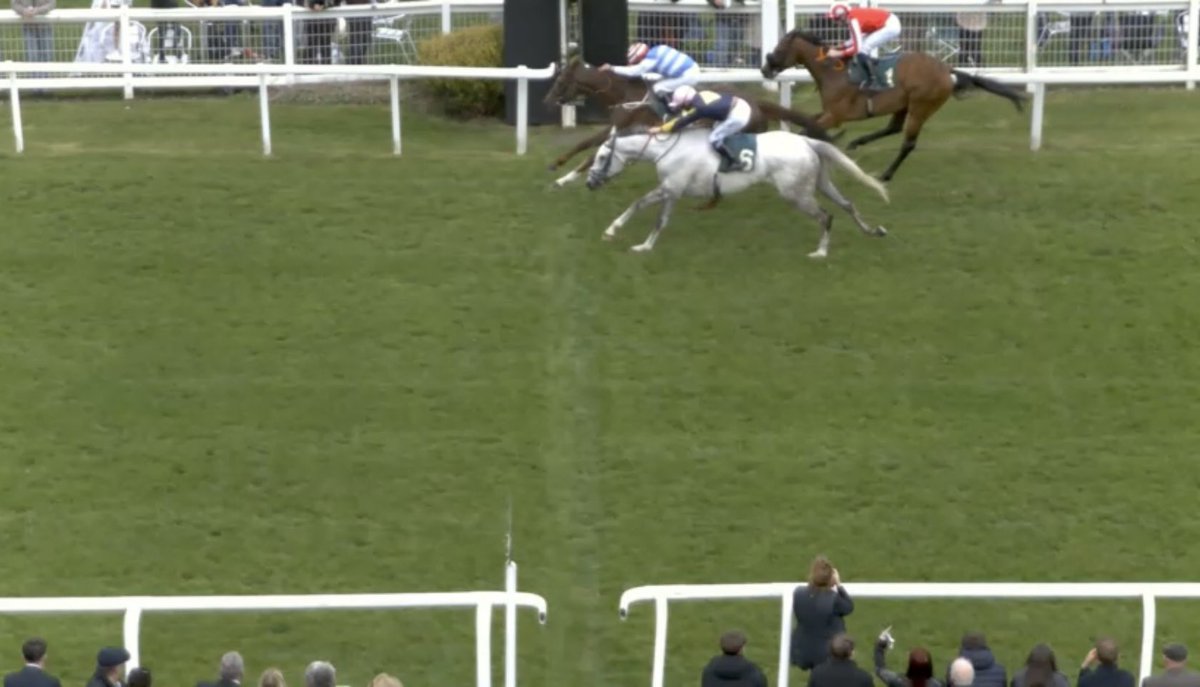 DANCINGWITHMYSELF just fails to get up in time. 🥈 
-5.5u so far today.