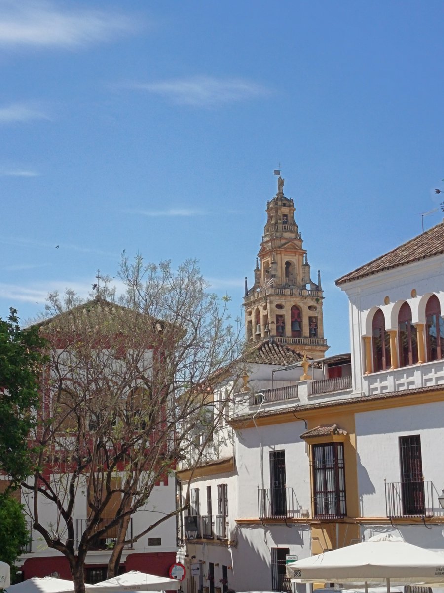 Torre del campanario bajando desde Blanco Belmonte. He tardado en volver desde la última vez.
#Córdoba