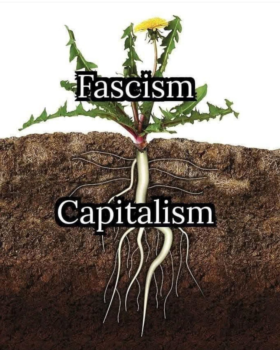 MC Squared (@mcsquared34) on Twitter photo 