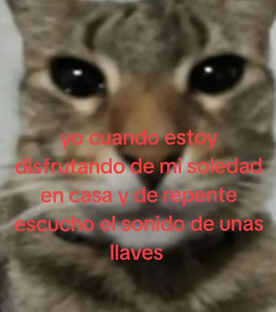 tom (@tomiezequiel15) on Twitter photo 