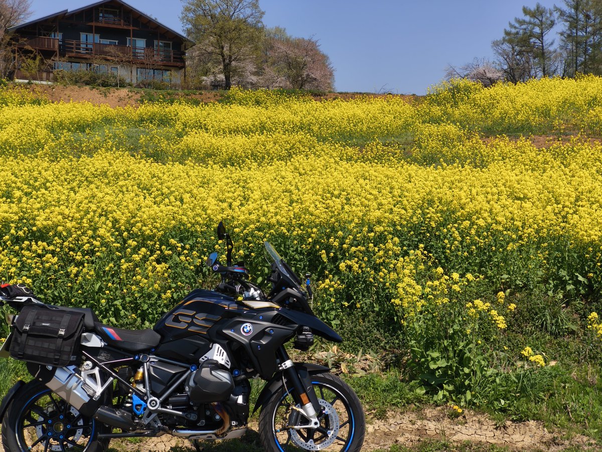 Oyabin@R1250GS (@DarkOyabin) / Posts / X