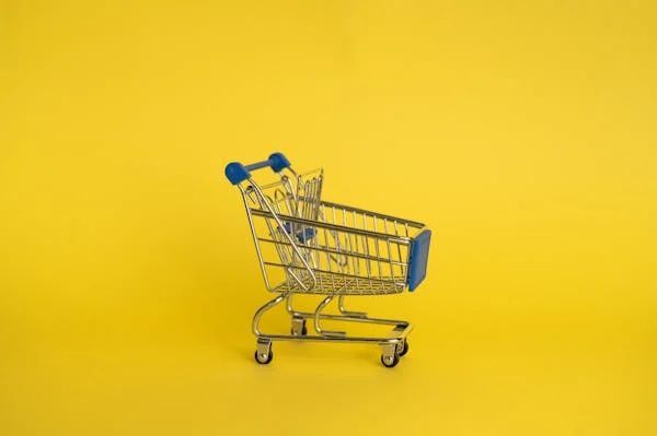 DTNEtiquette's tweet photo. I'm loading my emotional shopping cart full of positive thoughts...phew, I need it, but don't we all? ~ #DTN #NegativityIsEverywhere #StayingOptimistic #MyChoiceUrChoice https://t.co/j9dtgTPz9O