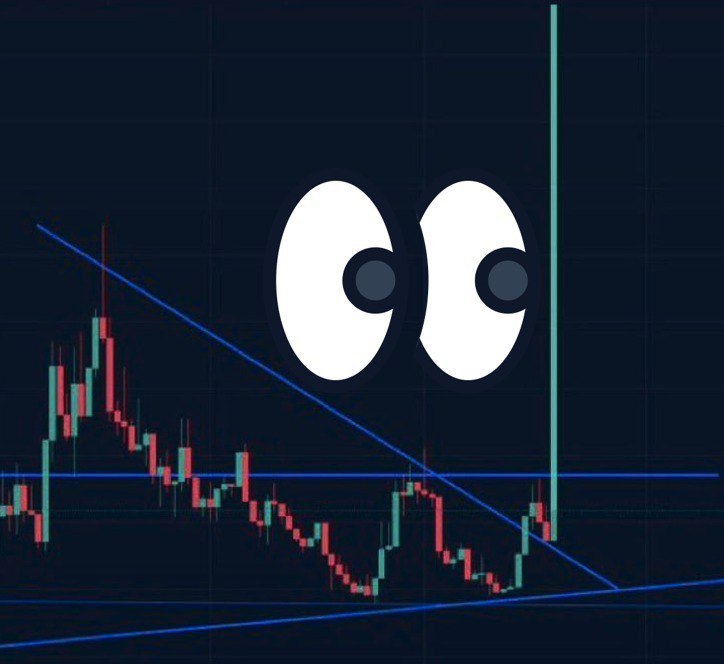MemesOnBase_'s tweet photo. 1 @base meme changes everything

10000x

$__?🔵👇 https://t.co/Q6K5vfRs5s