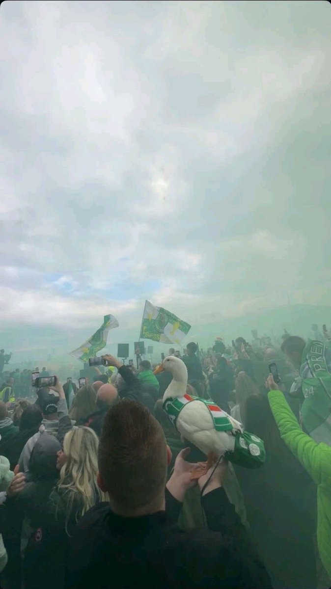 McLaughlin_1888's tweet photo. My wee pal enjoying the celebrations!!😄🍀 https://t.co/6UVPXoJZ27