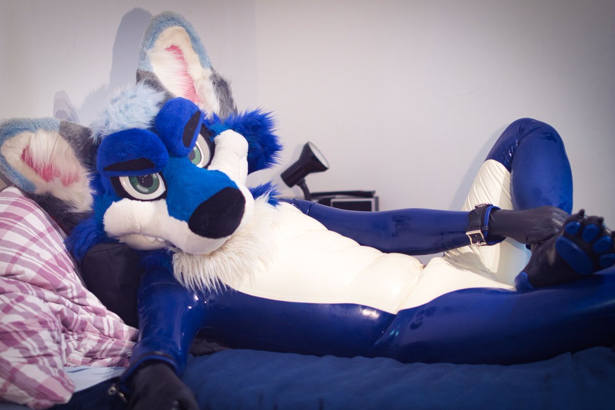Join me in bed ~
#squeakysaturday
📸Sparky/Roger