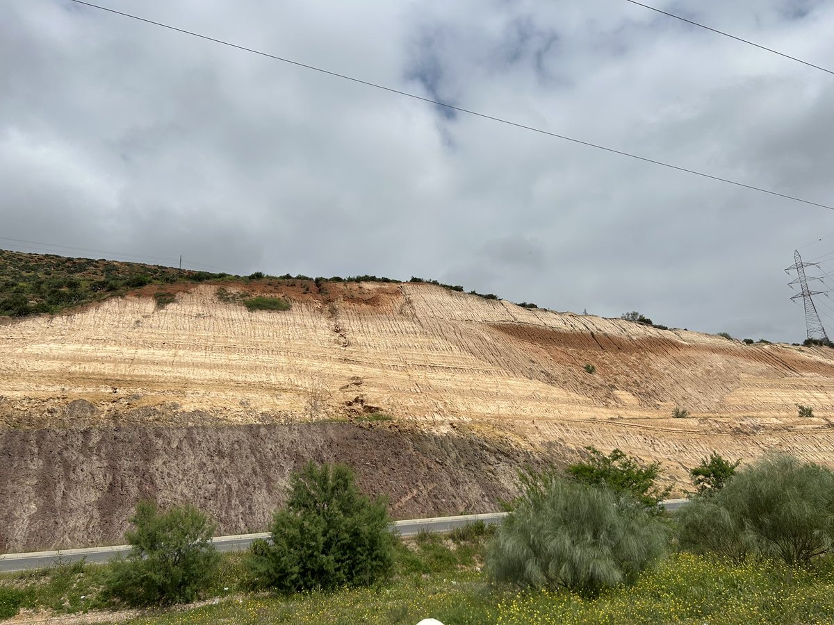 AASP-The Palynological Society (@aasptps) on Twitter photo Today we finished the conference off in style looking at Palaeozoic and Miocene stratigraphy of the Rabat region. We all then enjoyed a late lunch farmhouse style with plenty of tagines, kofta and mint tea! #AASPTPS2025 Today we finished the conference off in style looking at Palaeozoic and Miocene stratigraphy of the Rabat region. We all then enjoyed a late lunch farmhouse style with plenty of tagines, kofta and mint tea! #AASPTPS2025