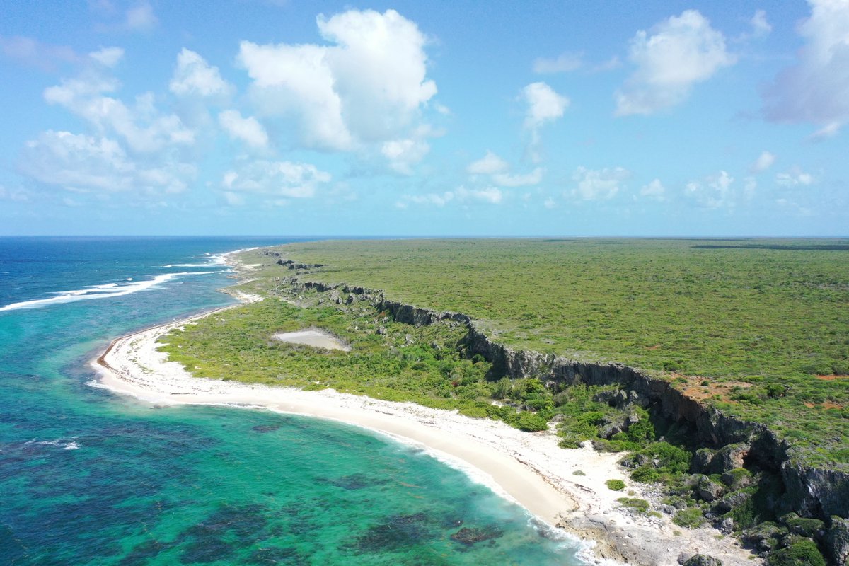Towering cliffs, hidden coves, rolling hills, and beaches for every day of the year—Antigua’s landscape is pure magic 🌊⛰️🌴

Visit Antigua Barbuda Link in bio

#VisitAntiguaBarbuda #LoveAntiguaBarbuda #AntiguaBarbuda #AntiguaAndBarbuda #AhLoveItHere #IslandEscape #CulinaryMonth