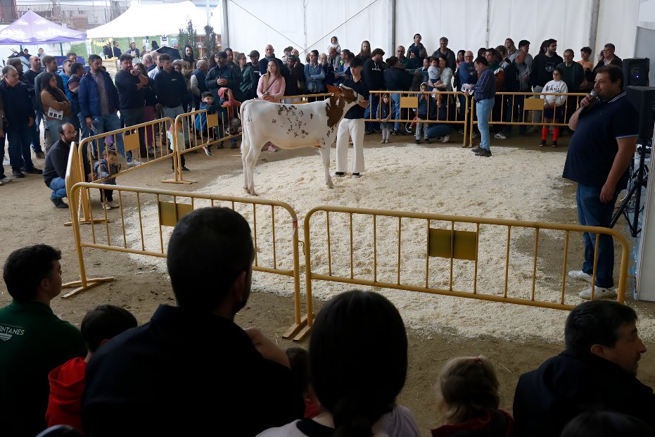 Gironanoticies's tweet image. 🚜🌸 La Fira Comarcal de Primavera de Campllong arrenca amb èxit i estrena la primera subhasta de vedelles!

La 41a edició consolida Campllong com a referent del món rural gironí.

Més de 100 expositors, tradició i innovació!  

gironanoticies.com/noticia/267136…  #FiraCampllong #MónRural