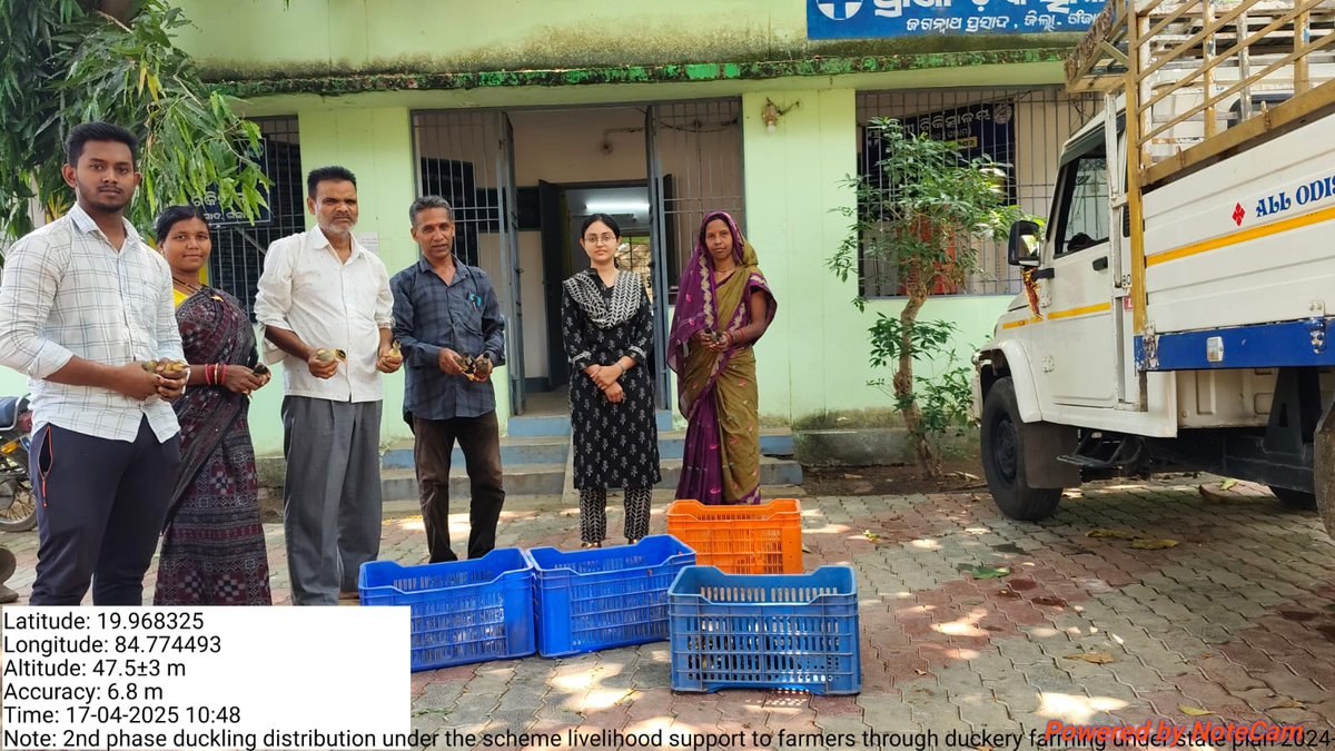 Distribution of 2nd phase 2 weeks old ducklings under Rural backyard duckery scheme under stateplan for year 2024-25 in block Jagannathprasad Dist-Ganjam