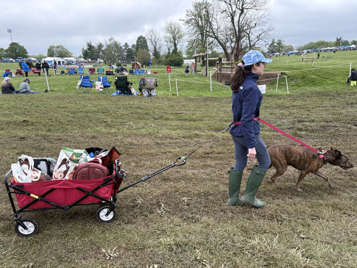 Pumpkin Spicy Pony Wrangler tweet media