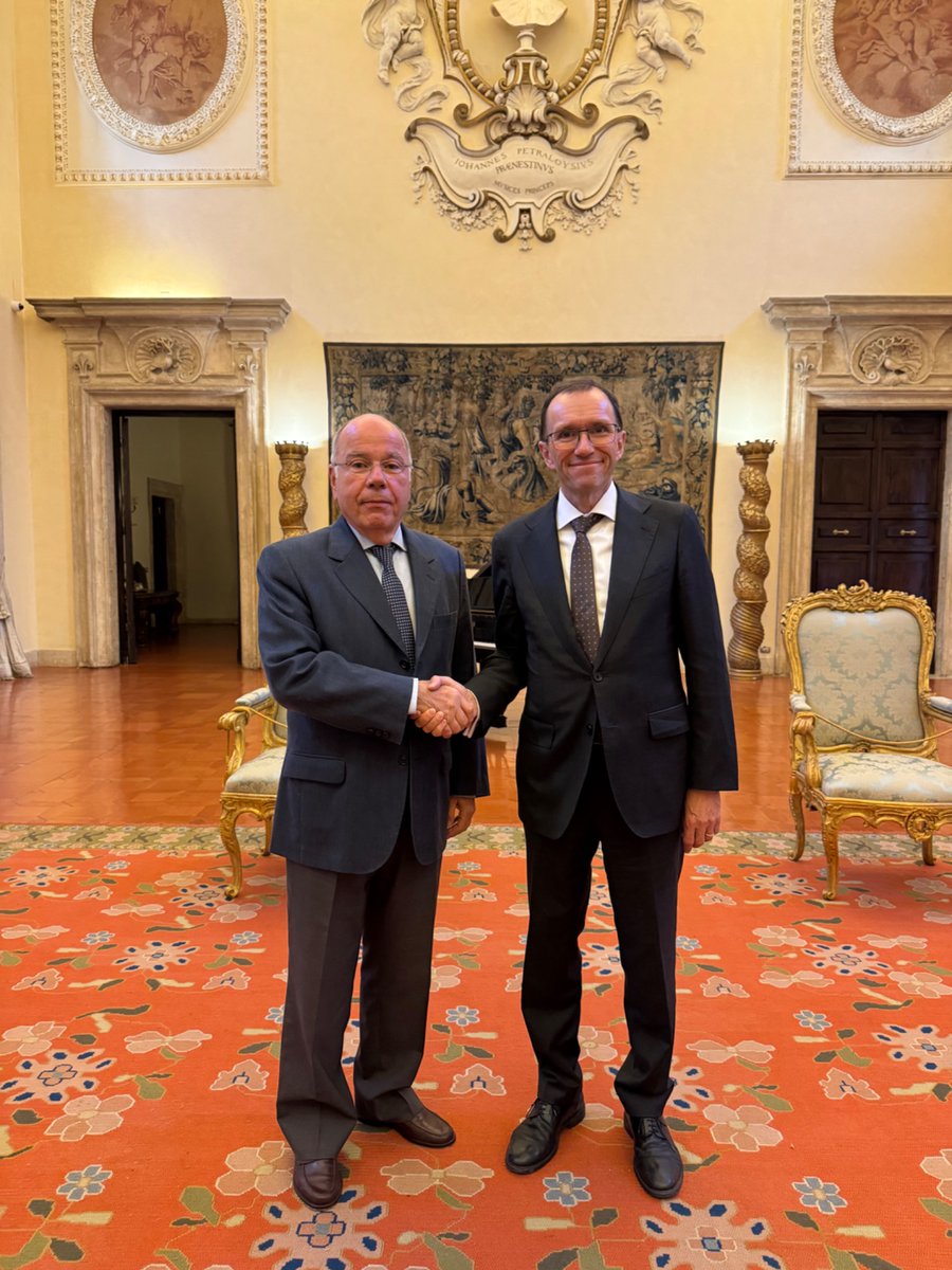 I’m grateful for the excellent meeting I had with my friend 🇧🇷 FM #MauroVieira today.

We discussed how to save the multilateral system, the role of #G20 &amp; the upcoming BRICS-ministerial. We also discussed the need for peace in Gaza and Ukraine, and the situation in Venezuela.