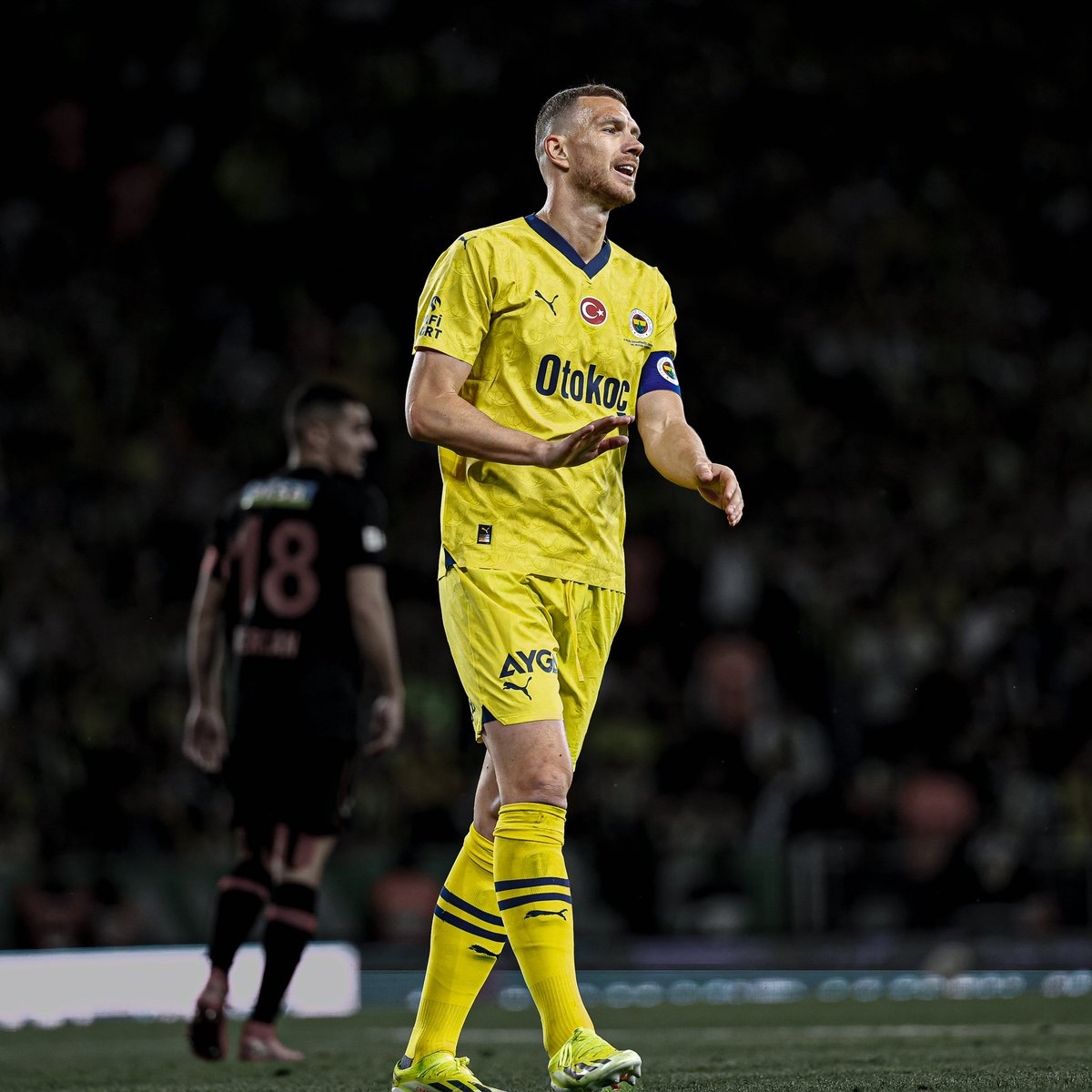 Edin Dzeko, Fenerbahçe tarihinin en golcü yedinci yabancı oyuncusu oldu.

1- Alex de Souza - 171 gol
2- Elvir Bolic - 76 gol
3- Moussa Sow - 75 gol
4- Enner Valencia - 59 gol
5- Mert Nobre - 55 gol
6- Fernandão - 50 gol
7- Edin Dzeko - 45 gol
8- Michy Batshuayi - 44 gol
9- Deivid