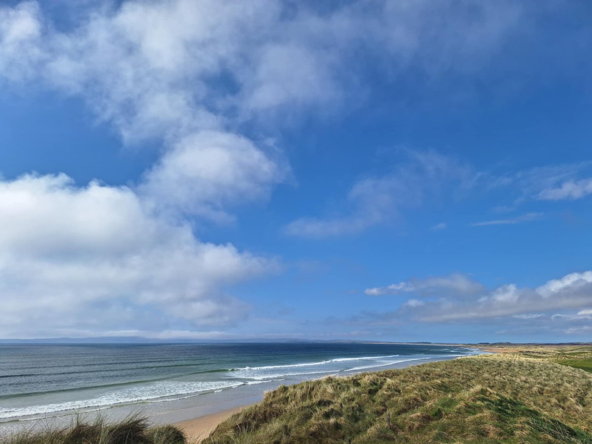 Martin Dempster tweet media