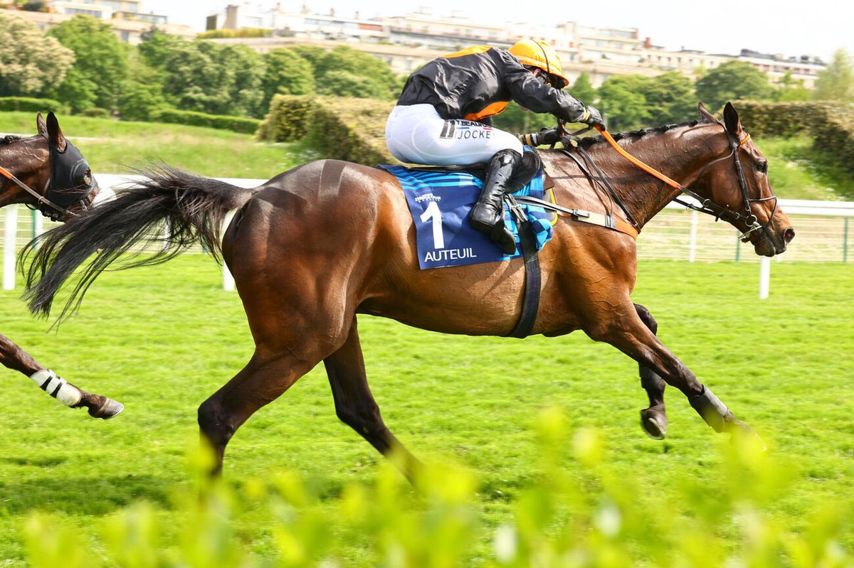 Celui-ci alors ! Quel cheval !

Gran Diose, en route pour écrire l'Histoire ⚫🟠