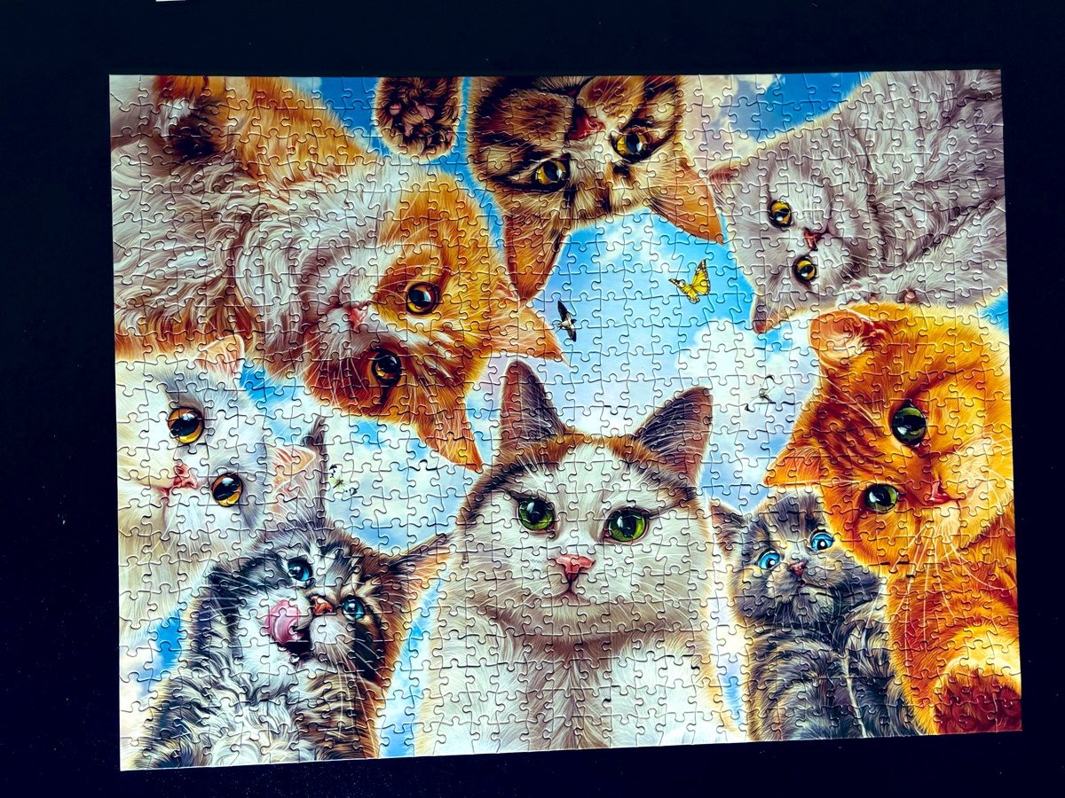 Holly Purr⚜️ (@littlemainecoon) on Twitter photo What’s everyone doing this rainy #Caturday? Mommy is vacuuming and talking about my fur. Why is it always about my fur? We finished this puzzle last night. It’s called The Mouse Perspective 😹
<a href="/JusticeToAll/">JusticeToAll ~ 🙏 🇺🇦 ⚖️ 🚀</a> <a href="/MaineCoonCatsOH/">Reny, Cat Nip Enthusiast</a> <a href="/lucymusiccat/">Angel Lucy Cat</a> What’s everyone doing this rainy #Caturday? Mommy is vacuuming and talking about my fur. Why is it always about my fur? We finished this puzzle last night. It’s called The Mouse Perspective 😹
<a href="/JusticeToAll/">JusticeToAll ~ 🙏 🇺🇦 ⚖️ 🚀</a> <a href="/MaineCoonCatsOH/">Reny, Cat Nip Enthusiast</a> <a href="/lucymusiccat/">Angel Lucy Cat</a>