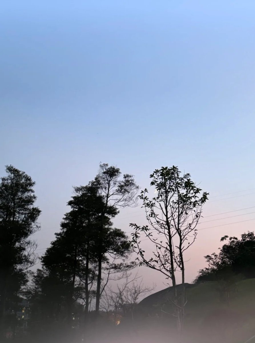Dusk falls and mist lingers.
The moment the world quiets down, my heart softens. 🌫️🌙