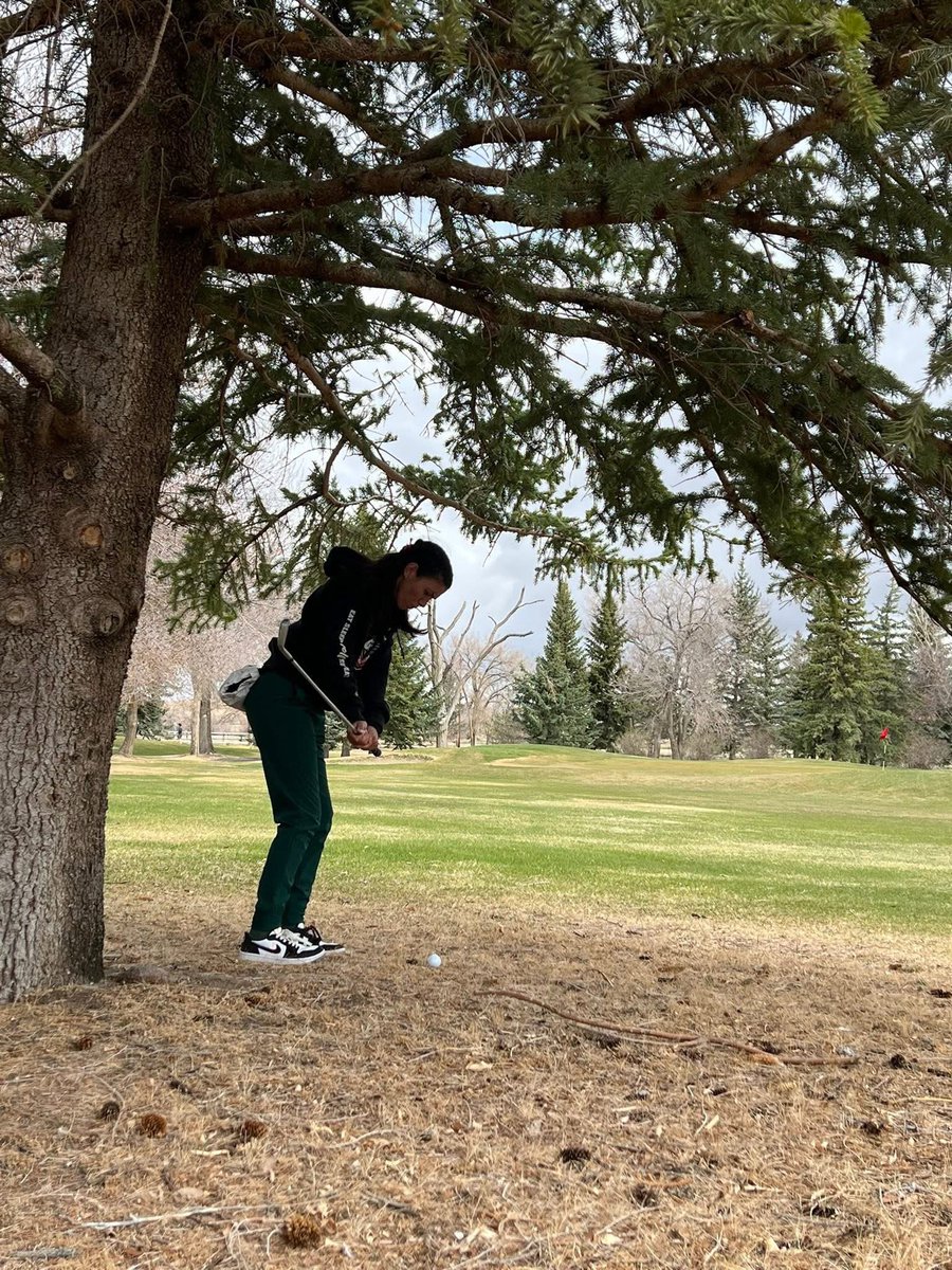 LVHS Golf team tweet media