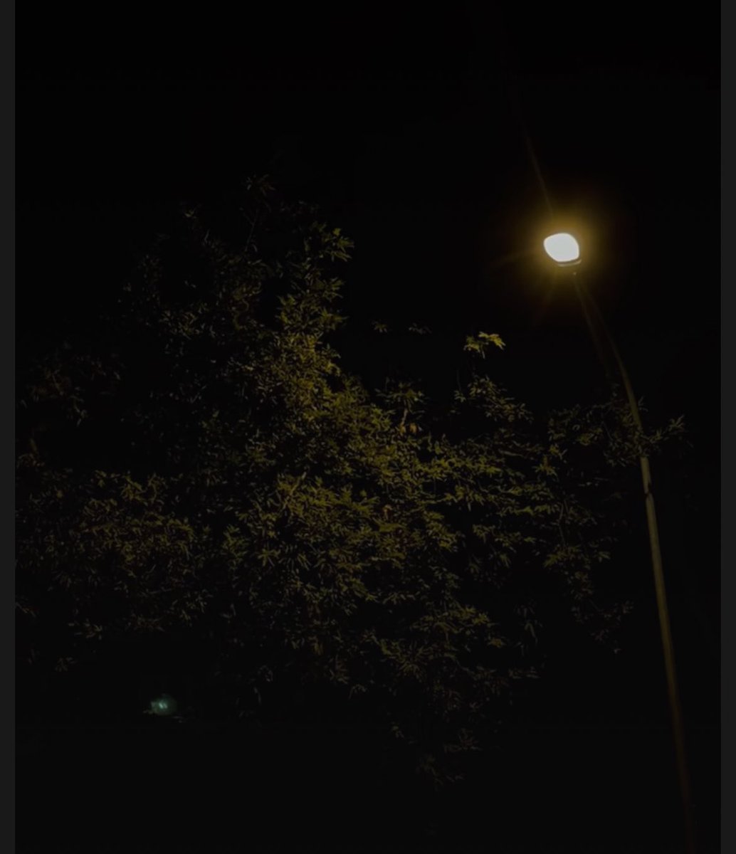 آج شب دل کے قریں کوئی نہیں ہے 
کوئی نغمہ، کوئی خوشبو، کوئی کافر صورت 
کوئی امید، کوئی آس مسافر صورت 
کوئی غم، کوئی کسک، کوئی شک، کوئی یقیں 
کوئی نہیں ہے