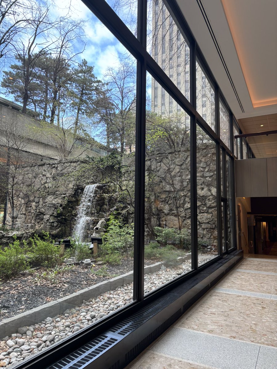 Cognitive Brain Health Lab tweet media