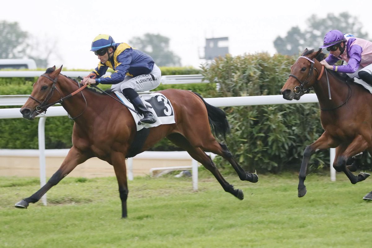LNJ Foxwoods (@lnjfoxwoods) on Twitter photo A VERY SPECIAL CONGRATULATIONS TO MADISON SCOTT, <a href="/MadisonScott157/">Madison Scott</a>, WHO CELEBRATED HER FIRST WIN AS A HORSE OWNER WITH RADIANT'S VICTORY AT ANGERS. EXTRA SPECIAL FOR HER TO DO IT WITH HER GREAT FRIEND AND TRAINER <a href="/TimDonworth94/">Tim Donworth</a> SO HAPPY FOR YOU, MADISON! ⭐️🥇🇫🇷 💥💫 A VERY SPECIAL CONGRATULATIONS TO MADISON SCOTT, <a href="/MadisonScott157/">Madison Scott</a>, WHO CELEBRATED HER FIRST WIN AS A HORSE OWNER WITH RADIANT'S VICTORY AT ANGERS. EXTRA SPECIAL FOR HER TO DO IT WITH HER GREAT FRIEND AND TRAINER <a href="/TimDonworth94/">Tim Donworth</a> SO HAPPY FOR YOU, MADISON! ⭐️🥇🇫🇷 💥💫