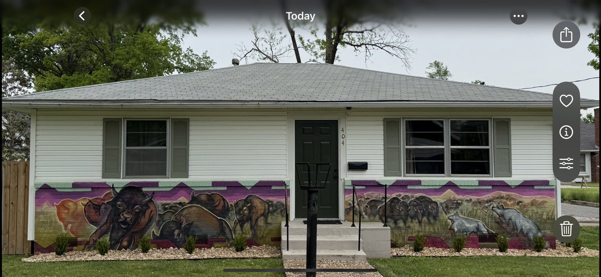 Bison in downtown Bentonville Arkansas #parkchat <a href="/bentonvillecvb/">Visit Bentonville</a>