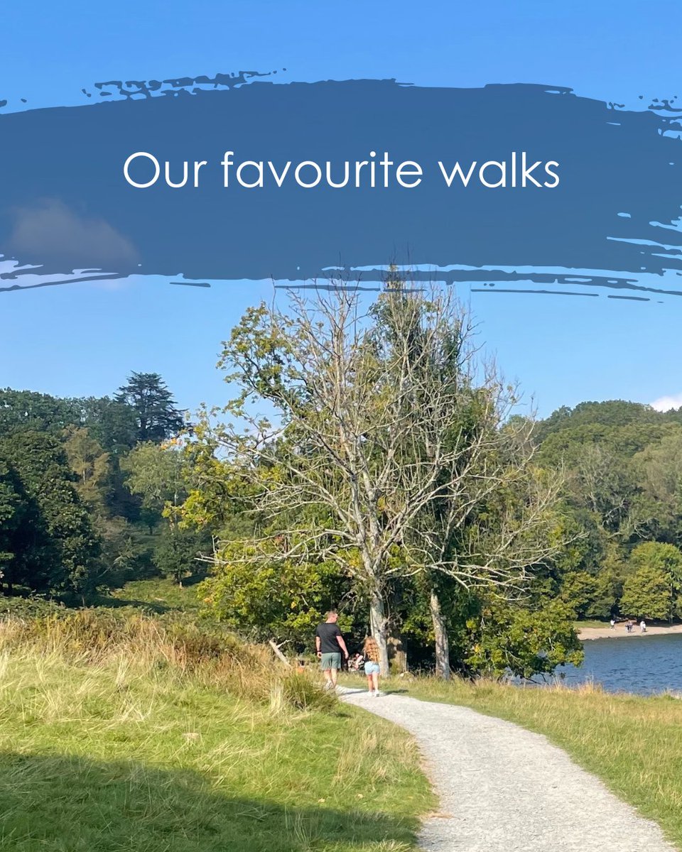 Windermereboats's tweet image. ☀️ Spring’s (kinda) behaving – time to explore!

Hop on a cruise and discover 15 fab walks from our piers – from lakeside rambles to fell-top adventures. 

Dog-friendly. Car-free. Bluebell-ready.

📍 ow.ly/WlAr50VGm6g

#LakeDistrict #BootAndBoat #SpringWalks