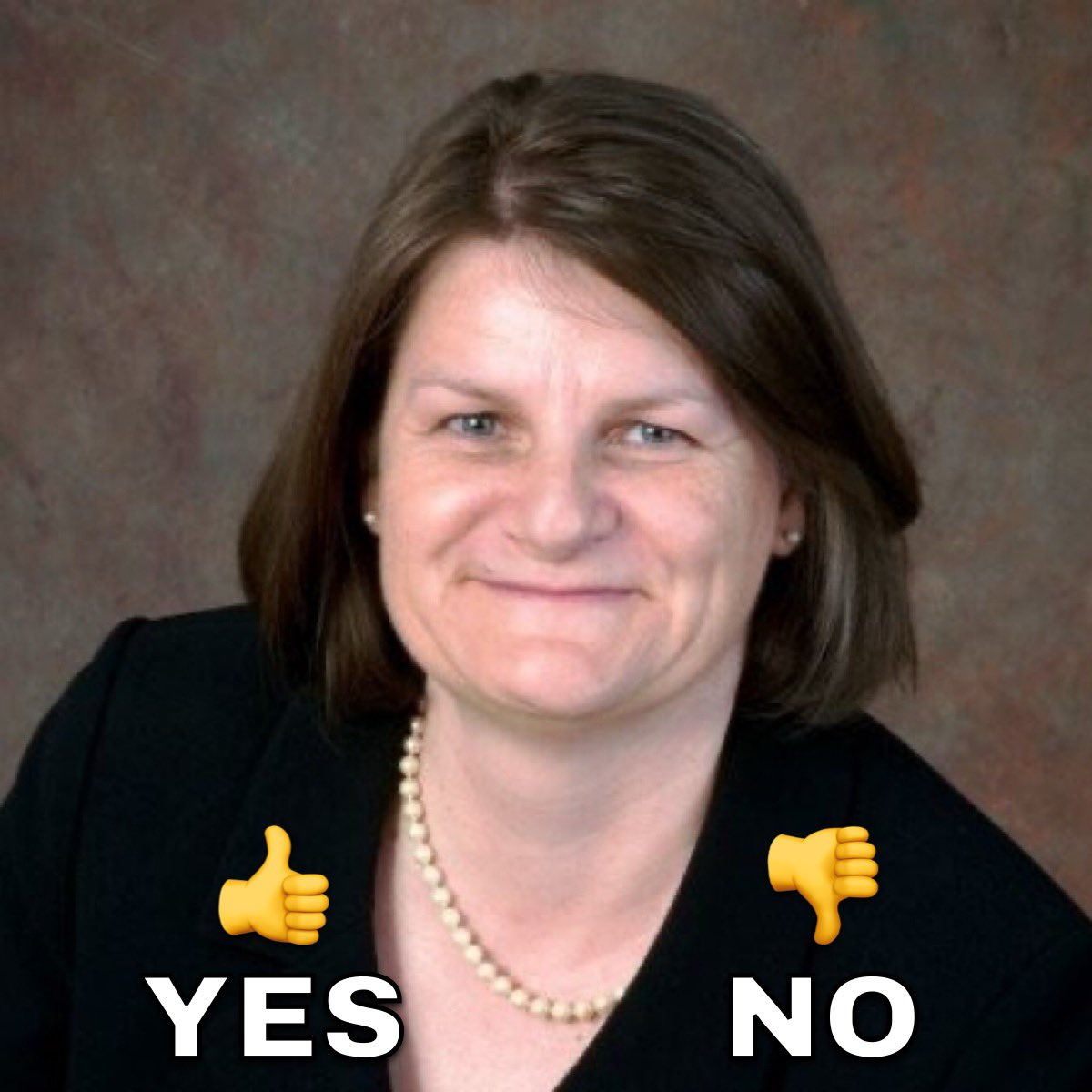 Do you support the arrest of Judge Hannah Dugan?

A. YES
B. NO