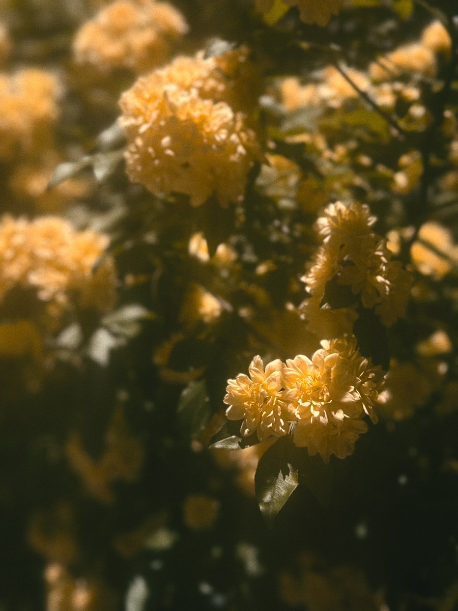 Тбилиси сегодня абсолютно прекрасен