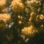 Photo by Светла (@krellive)
