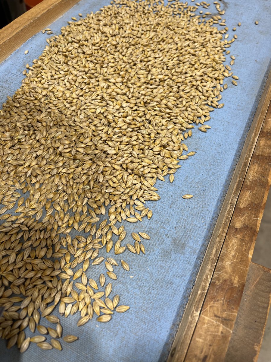 MikeWarkentin87's tweet photo. more CDC Fraser Barley from ⁦@SeCan⁩ rolling thru today, gettin set for #plant25 ⁦@SeedFarm23⁩ https://t.co/o5VhKGTXny