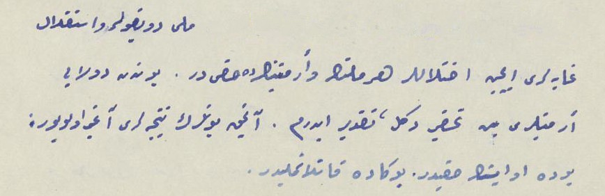 Millî duygular ve istiklal gayeleri için ihtilaller her milletin ve Ermeni'nin de hakkıdır. Bundan dolayı Ermenileri ben tahkir değil, takdir ederim. Ancak bunların neticeleri ağır oluyor: bu da o işin hakkıdır. Buna katlanmalıdır.