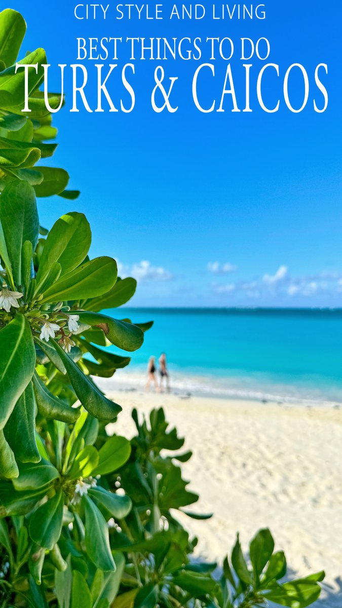 Best Things to Do In Turks and Caicos instagram.com/reel/DFEOJKzSM…
<a href="/VisitTCI/">Visit Turks and Caicos Islands</a> <a href="/wymaraturks/">Wymara Resort + Villas | Turks & Caicos</a> <a href="/sailrockbwi/">Sailrock South Caicos</a> <a href="/ShoreClubTC/">The Shore Club TC</a> 

#turksandcaicos #thingstodointurksandcaicos #turksandcaicosactivities #caribbeantravel