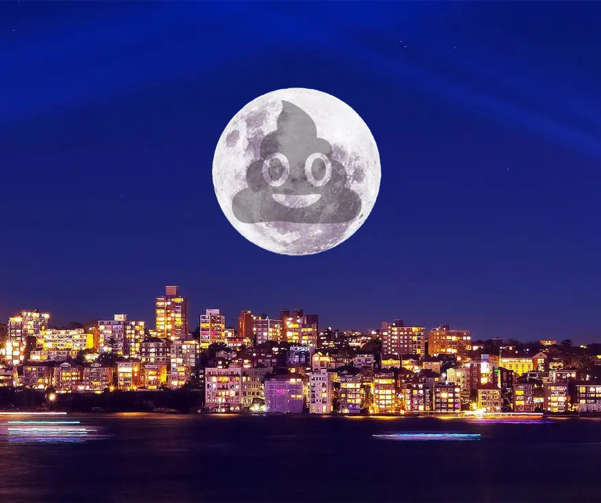 shitcoinverse's tweet photo. This is the time for the one true and verified #SHITCOIN to shine. Get out there and promote your shit! Make sure to follow all community members and put on notifications so that we can support each other with comments and likes and retweets. We will win! https://t.co/rRYHzMMTjm