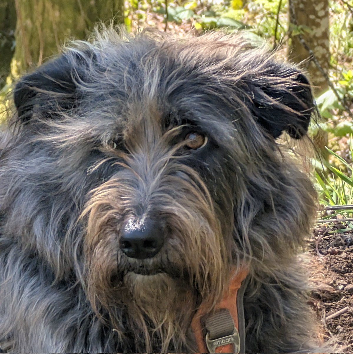 OnlyDancer's tweet image. #NewProfilePic