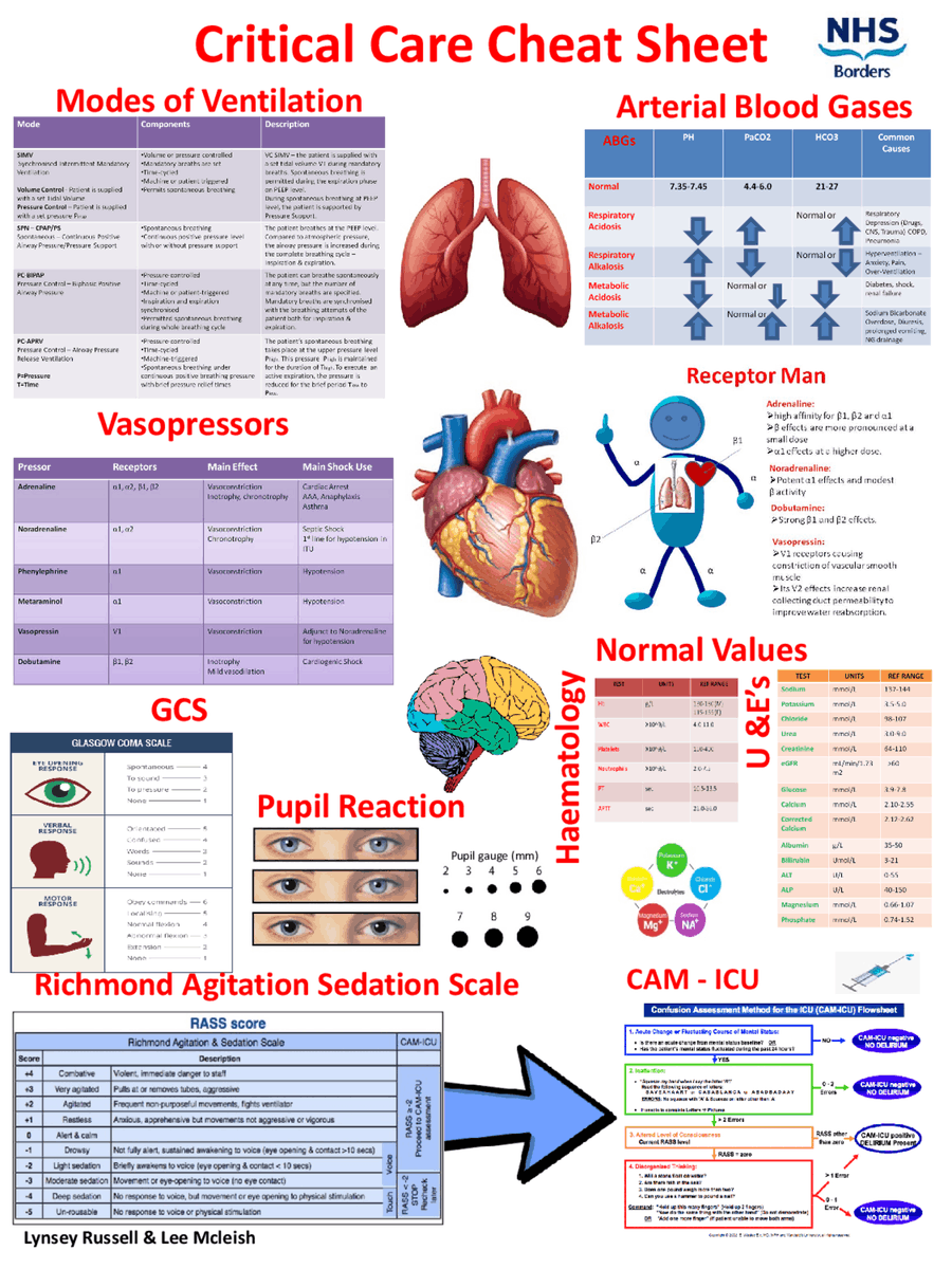 Critical care cheat sheet. 

scribd.com/document/71364….