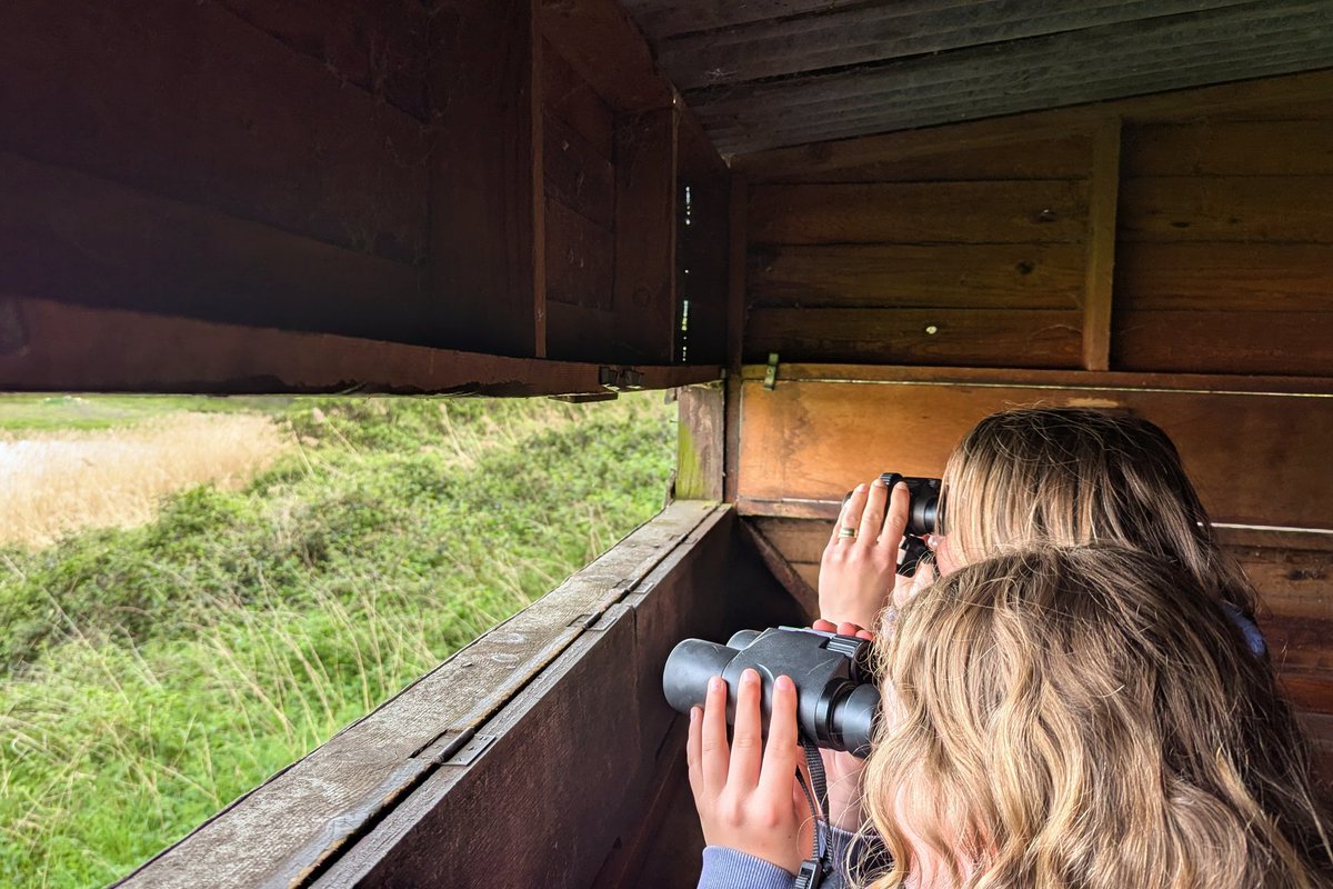 Simon Rose tweet media