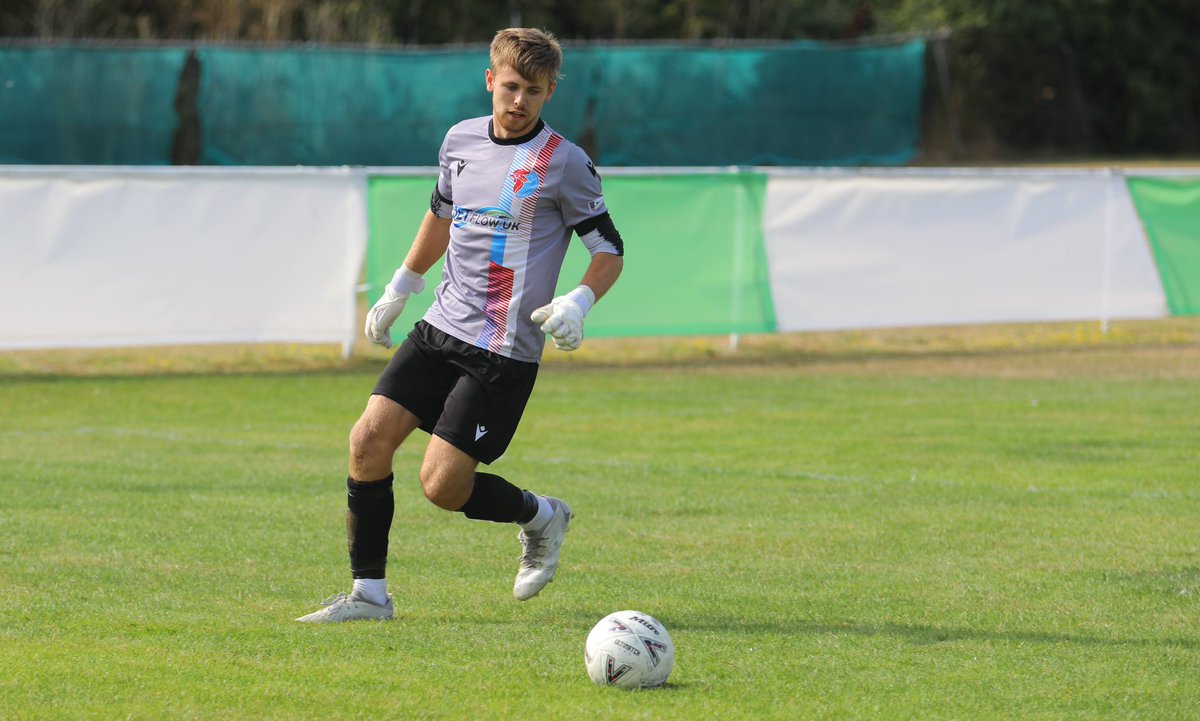 Tom Cleary tweet media